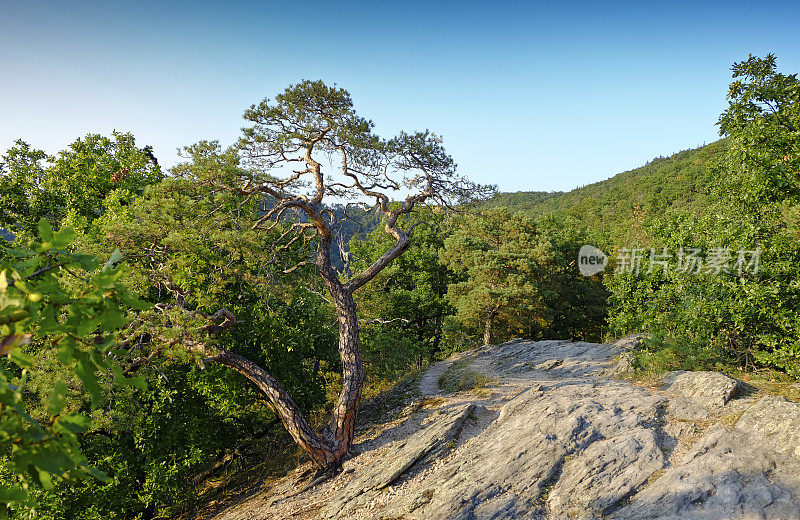 远足径至“Dürnstein Fesslhütte”